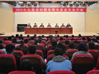 开云教师参加2019年安徽省校园足球专家委员会年会