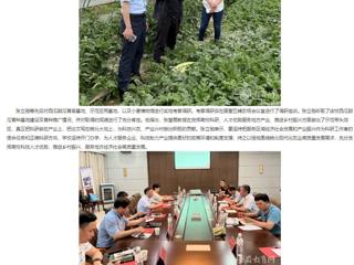 【主题教育】安徽教育网： 走出去 沉下来 开云kaiyun体育深入省级科研基地调研