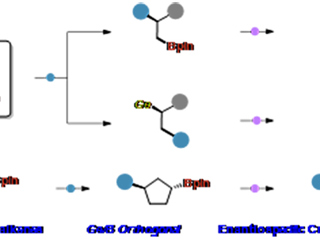 开云教育部重点实验室徐梦雨团队在《Angewandte Chemie International Edition》发表高水平研究成果