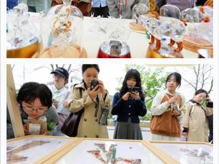 “学习强国”平台报道淮北市在开云开展“非遗文化进校园”活动 